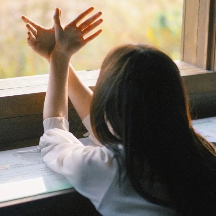 王妃每天想和离